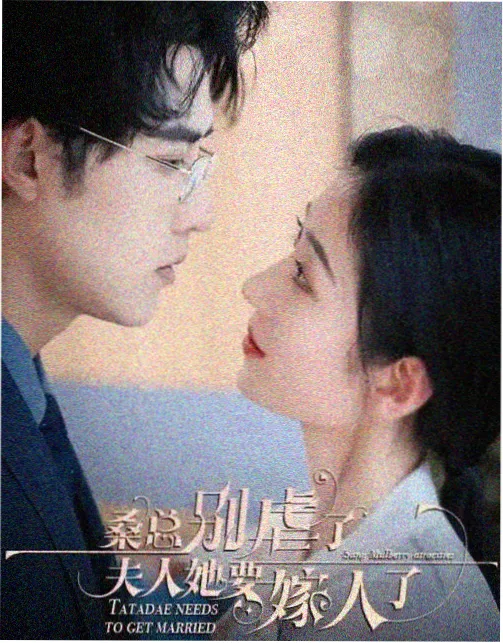 像晚霞碎片的羽状枫叶俯拍图