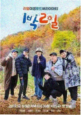 垂挂如小灯笼的复叶枫叶图